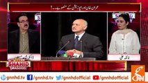 Mushahid Hussain protects current government from ties with China: Dr Shahid Masood