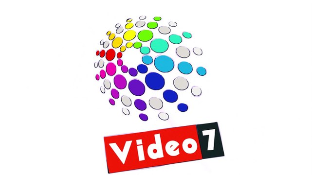 المصريون بأمريكا يحتفلون بالرئيس على أنغام الأغانى الوطنية