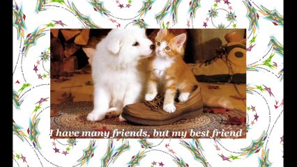 I have many friends, but my best friend... [Quotes and Poems]