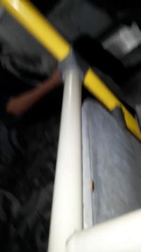 Passageira filma baratas dentro de ônibus em Vila Velha