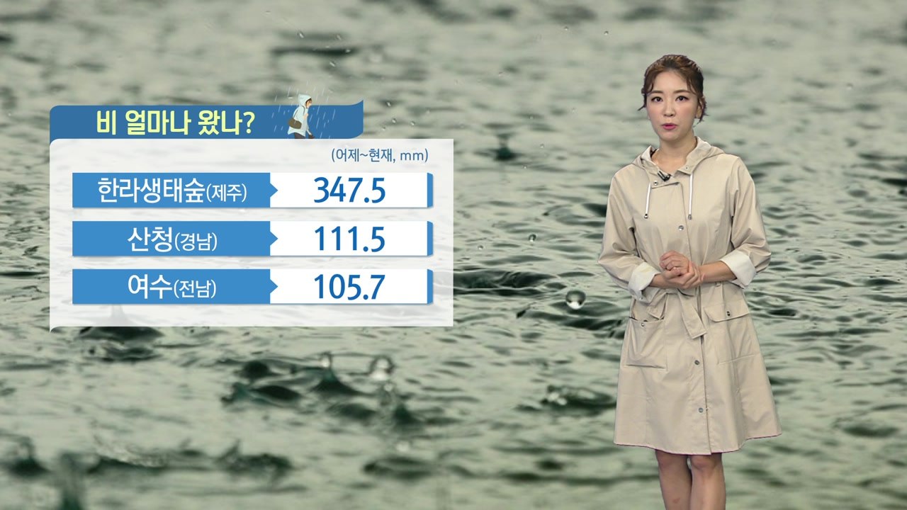 [날씨] 태풍 '타파' 영향 전국 강풍 동반 많은 비 / YTN