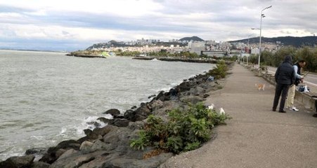 Samsun'da denize düşen bir genci oltayla kurtardılar