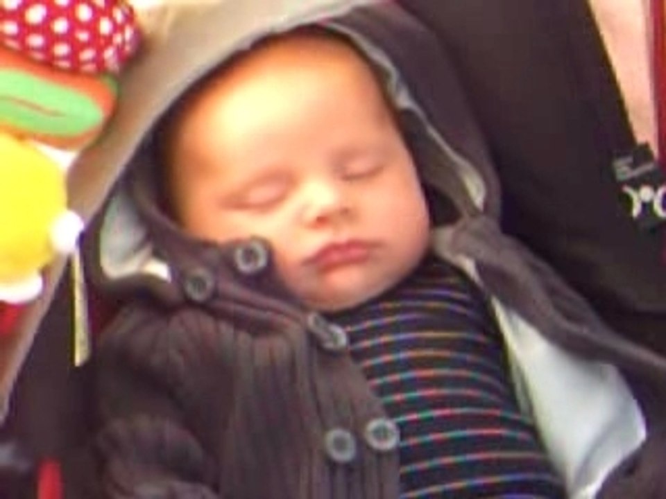 Loulou ne dort que d'un oeil