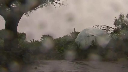 제주 육상·해상에 태풍 경보...여객선·항공기 통제 / YTN