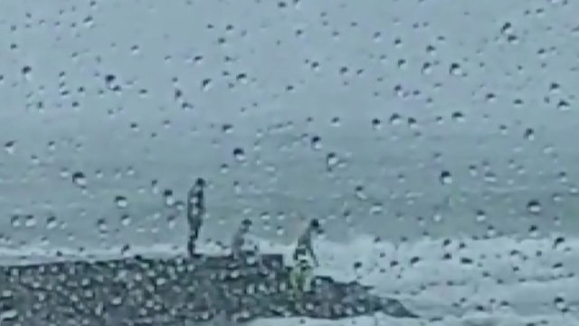 [제보영상] 해안가에서 구조 시도...곳곳 피해 잇따라 / YTN