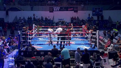 Villarino vs Perez Decision