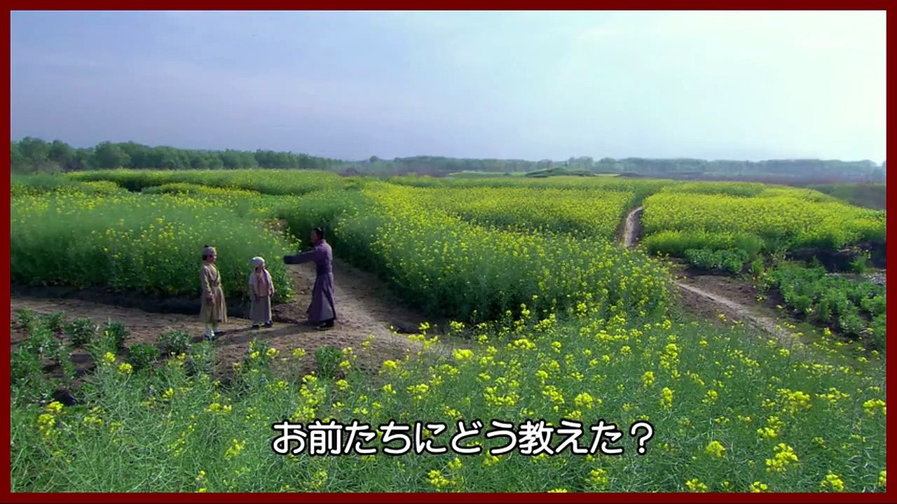 精忠岳飞 /岳飛伝 #19