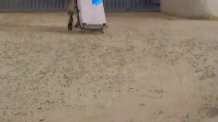 Mahi Aja - Shriya Jain _ Latest Hindi Song 2019 _ Honey Hardy