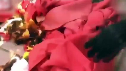 Hong Kong’da öfke dinmiyor! Bayrak yaktılar