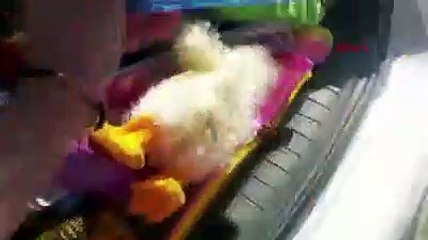 'Mutsuz Çocuk Kalmasın': Topladıkları oyuncaklarla 300 çocuğu sevindirdiler