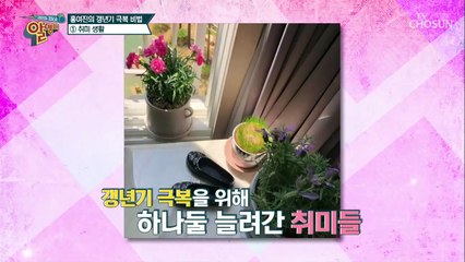 '천연 여성호르몬 + 비타민 C' 多 함량 '카카두 플럼'