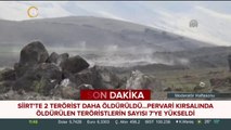 Siirt'te 2 terörist daha öldürüldü
