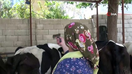 Kadın muhtardan köylülere sinema hizmeti