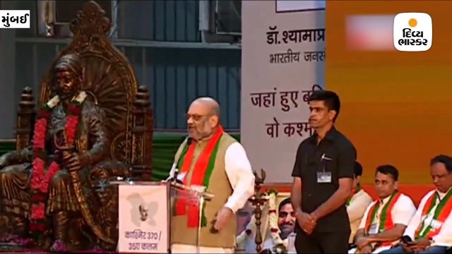 રાહુલ ગાંધી માટે કાશ્મીર રાજકીય મુદ્દો,અમારા માટે દેશભક્તિ - શાહ