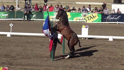 Spanish horse show in Santiago, Chile