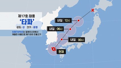 진로 바뀐 태풍 '타파'...동쪽 지역 강한 비바람 집중 / YTN
