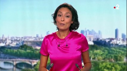 Journée sans voiture : les Parisiens se baladent sur les grands axes