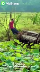 WATSAPP STATUS VIDEO  MALAYALAM