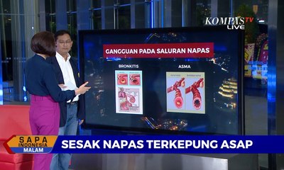 Download Video: Dialog - Sesak Napas Terkepung Asap Kebakaran Hutan, Dokter Paru: Sangat Berbahaya!