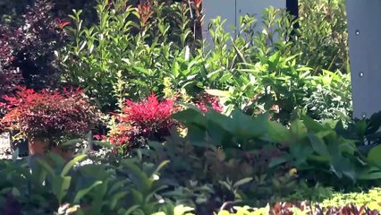 Peyzaj ve Süs Bitkiciliği Festivali sona erdi - SAKARYA