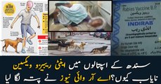 Why Anti Rabies vaccine is short in Sindh, ARY news reveals the truth