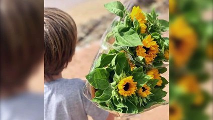 Agradable mañana de domingo de Sara Carbonero con sus dos hijos