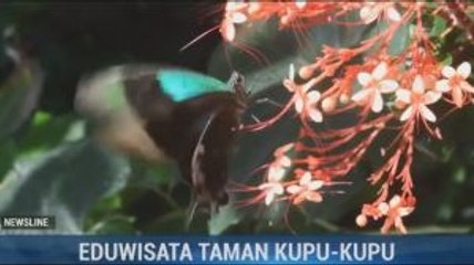 Serunya Berlibur Sambil Belajar di Balitopia