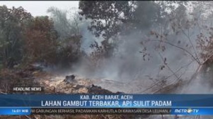 Tiga Hektare Lahan Gambut di Aceh Barat Terbakar