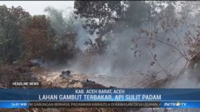 Tiga Hektare Lahan Gambut di Aceh Barat Terbakar