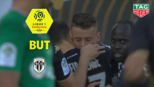 But Pierrick CAPELLE (48ème) / Angers SCO - AS Saint-Etienne - (4-1) - (SCO-ASSE) / 2019-20