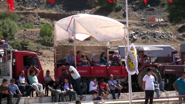 Yatağan'da boğalar kıran kırana güreşti