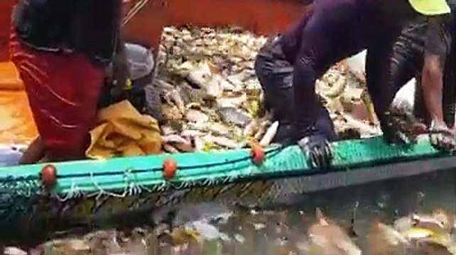 peche miraculeuse en martinique