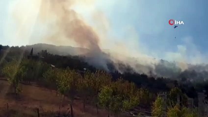 Osmaniye’de orman yangını