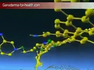 Ganoderma (Reishi) benefit