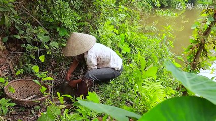 Fish Traps and Braised Fish