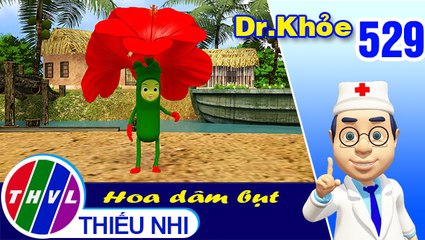 THVL | Dr. Khỏe - Tập 529: Hoa dâm bụt - Phần 2