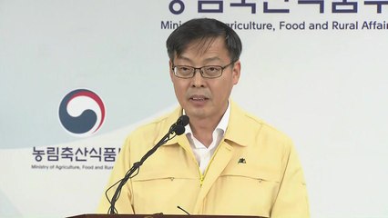 농식품부, ASF 관련 브리핑 / YTN