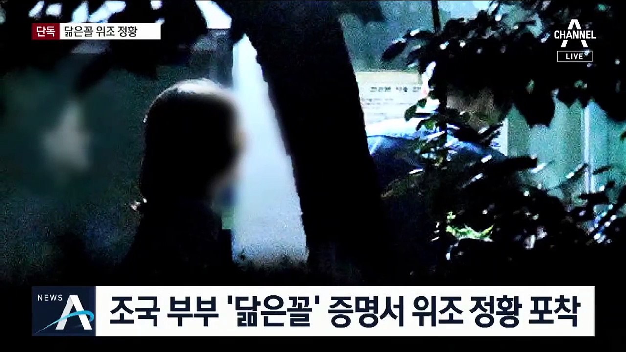[단독]직인 상태로 인쇄…조국 부부 ‘닮은꼴’ 위조 정황