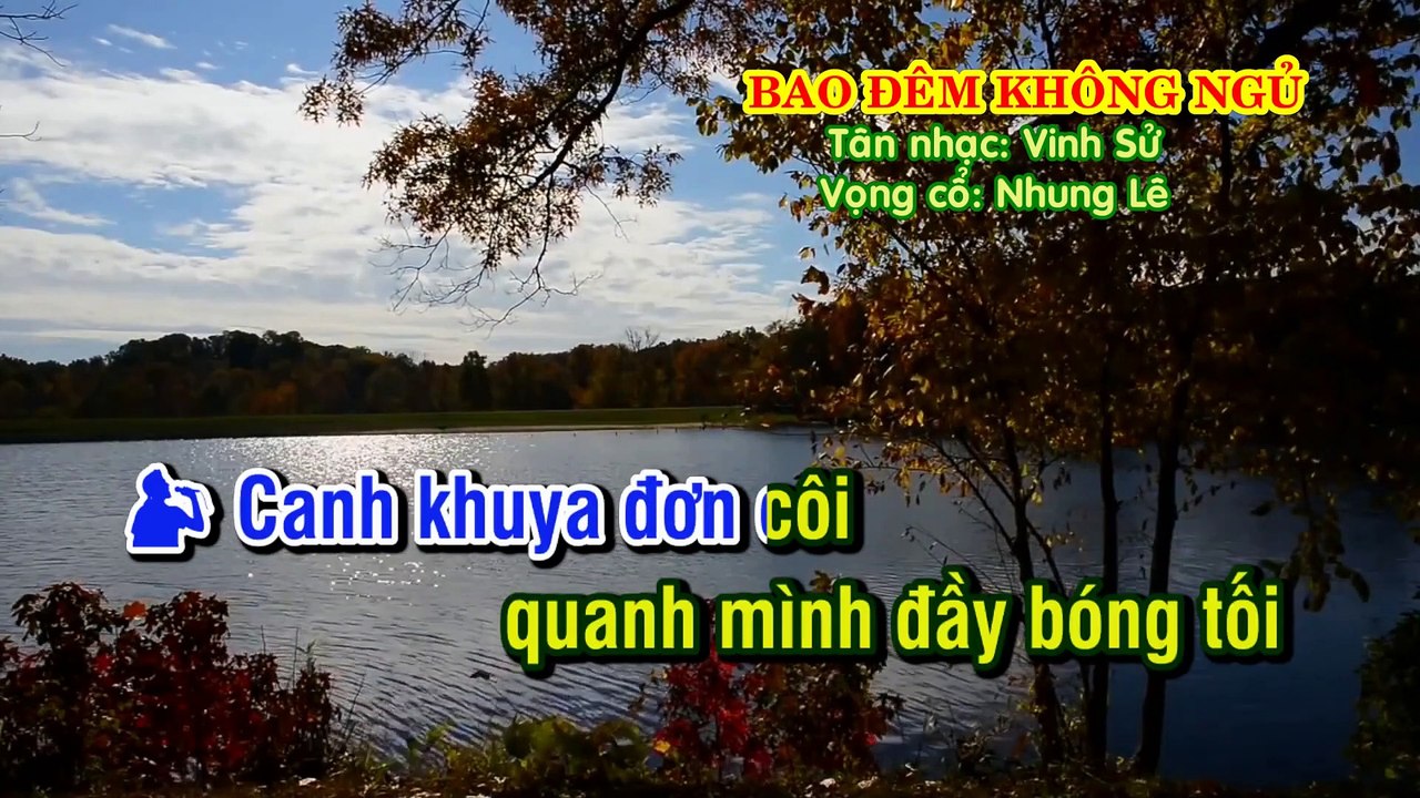 BAO ĐÊM KHÔNG NGỦ Tân Cổ KaraOke Song ca Tân nhạc- Vinh Sử - Vọng cổ- Nhung Lê