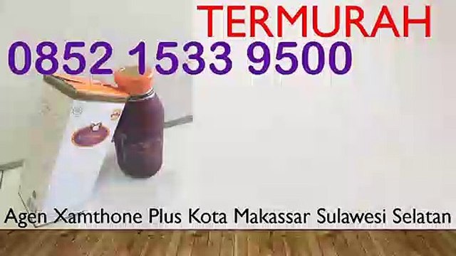 PROMO WA 0852 1533 9500 Fungsi Xamthone