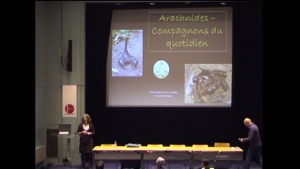 Arachnides : araignées, acariens, compagnons du quotidien