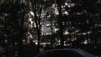 檢, 조국 법무부 장관 방배동 자택 압수수색...7시간째 진행 중 / YTN