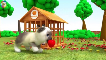 Download Video: Aprenda los colores de dibujos animados Gorila Leche Biberón Cachorro Dibujos animados aprendiendo video 3D para niños