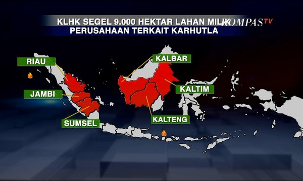 Kasus Kebakaran Lahan, 9.000 Hektar Lahan Disegel