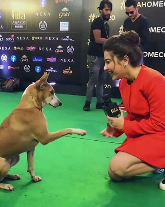 விருது வழங்கும் விழாவில் நாயை பேட்டி எடுத்த பிரபல நடிகை.. வைரலாகும் வீடியோ | iifa 2019 award