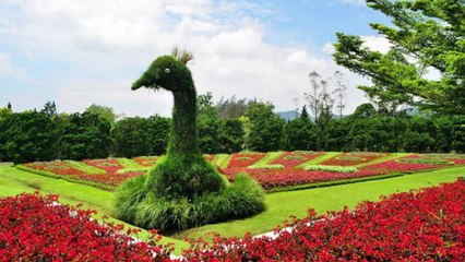 5 Tipe Selebgram Paling Populer, Kamu yang Mana?