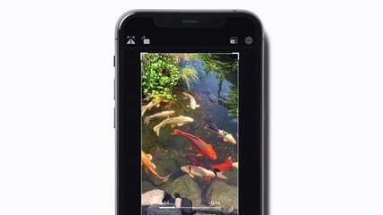 How to crop and trim a video on your iPhone — Apple Support