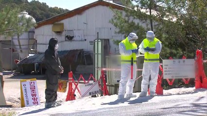 경기도 김포에서 또 의심 신고...오늘 밤 확진 / YTN