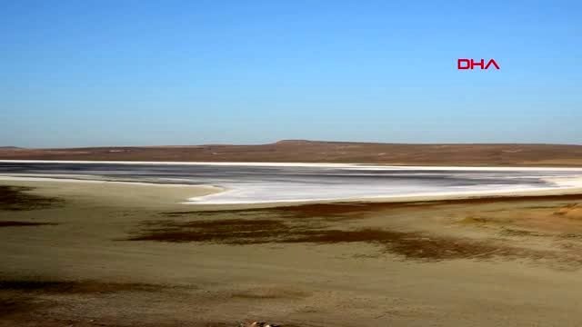 Konya düden gölü kurudu, flamingoların yaşam alanı daraldı