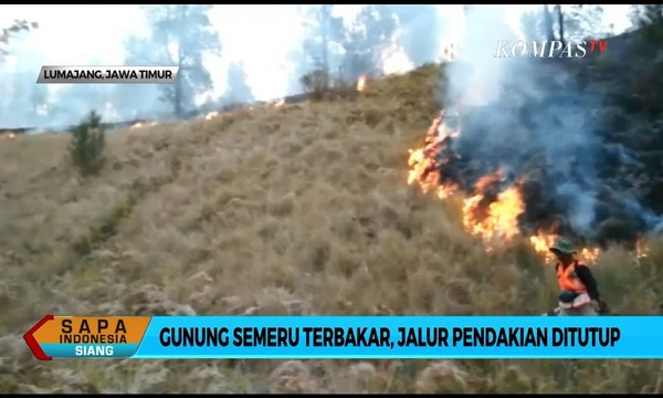 Gunung Semeru Terbakar, Jalur Pendakian Ditutup Total